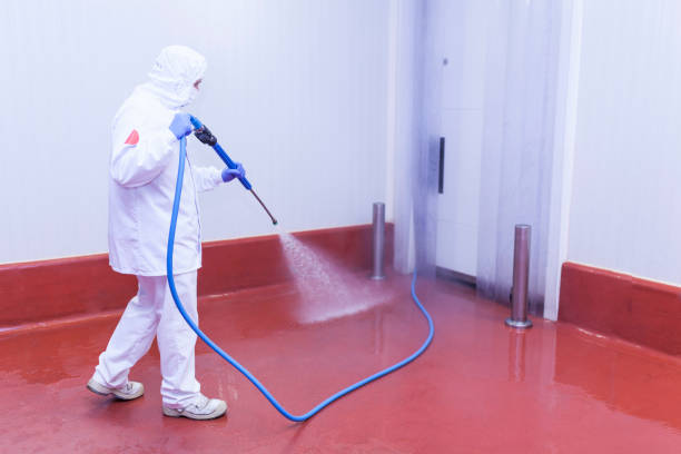 Best Fleet Vehicle Washing  in Dobson, NC