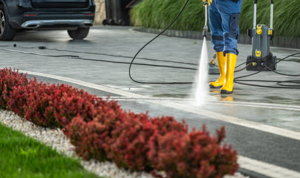 Best Fence Cleaning  in Dobson, NC